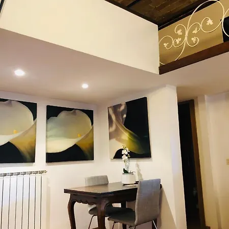 Apartment H Ton 10 Con Terrazza *