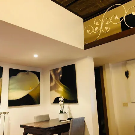 H Ton 10 Con Terrazza Apartment