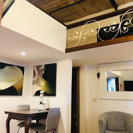 H Ton 10 Con Terrazza Apartment *